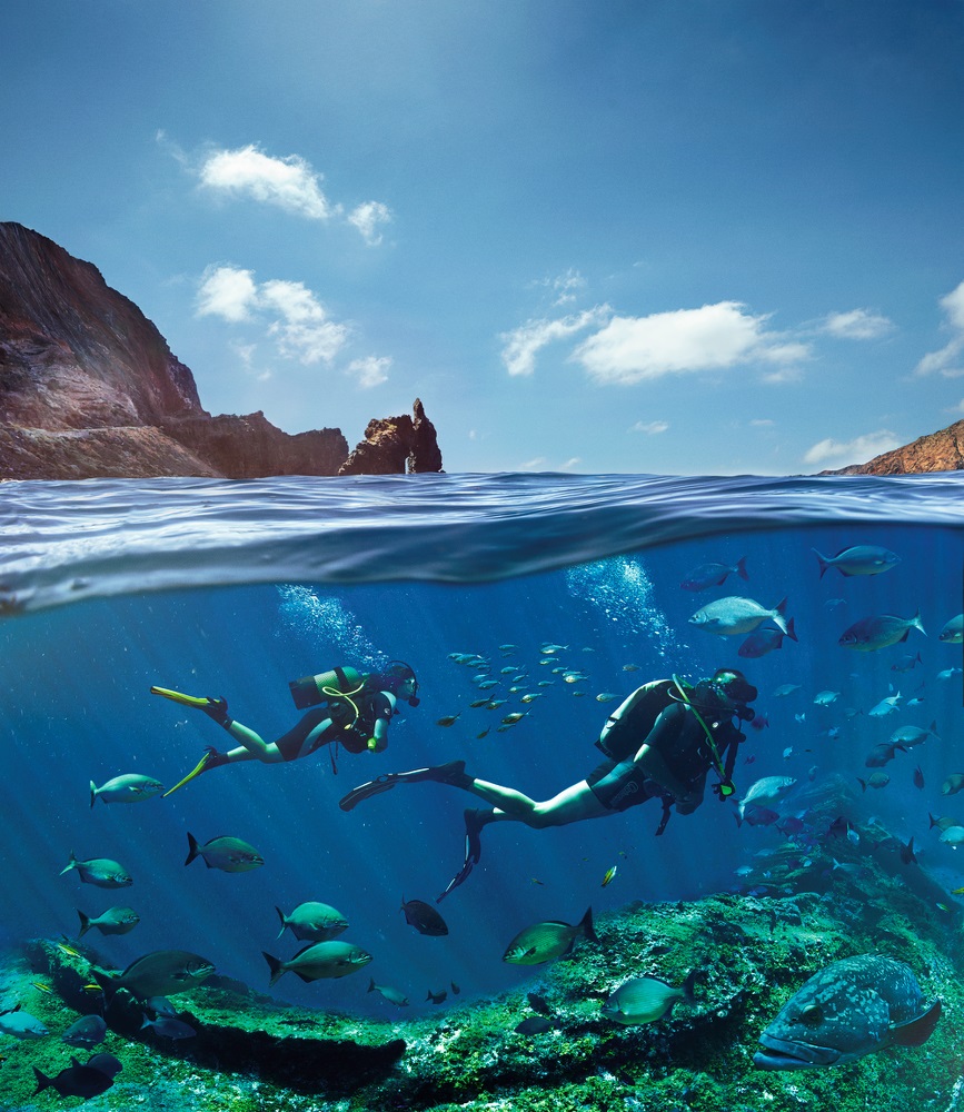 Turismo de Canarias copatrocina el Open Fotosub Isla de El Hierro para